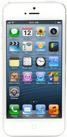 Смартфон Apple iPhone 5 32Gb White & Silver - Губаха