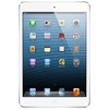 Apple iPad mini 16Gb Wi-Fi + Cellular белый - Губаха