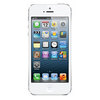 Apple iPhone 5 16Gb white - Губаха